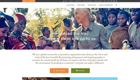 WordPress for Nonprofits: Best Themes, Plugins, and .